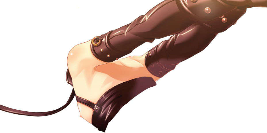 [081219]むすめーかー 初回限定版 520/979 