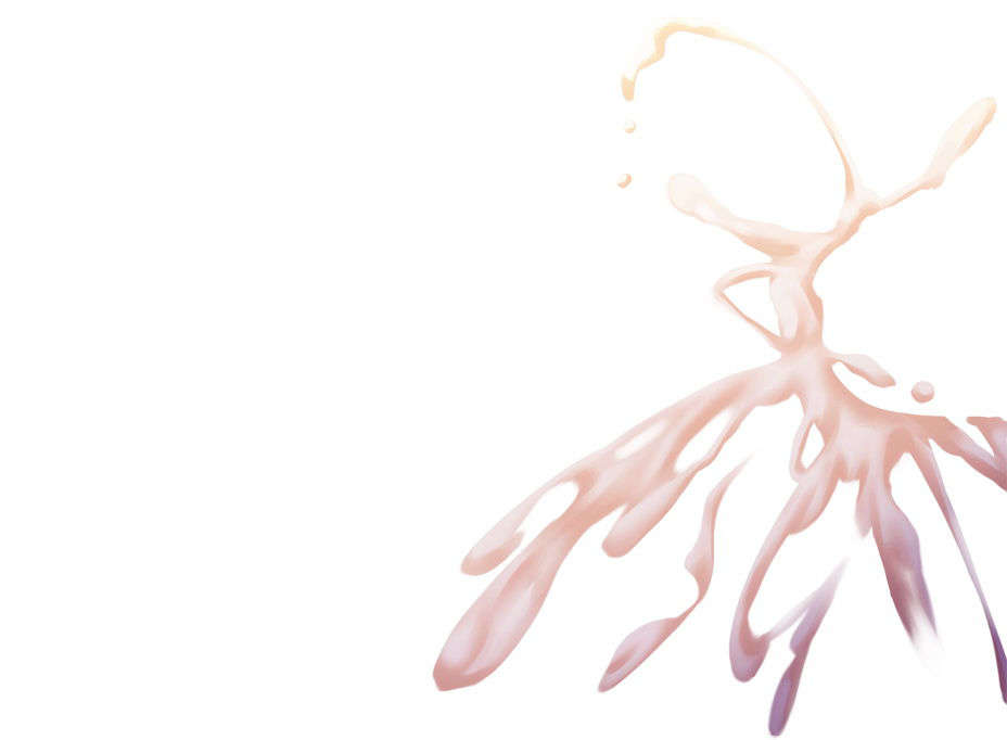 [081219]むすめーかー 初回限定版 524/979 