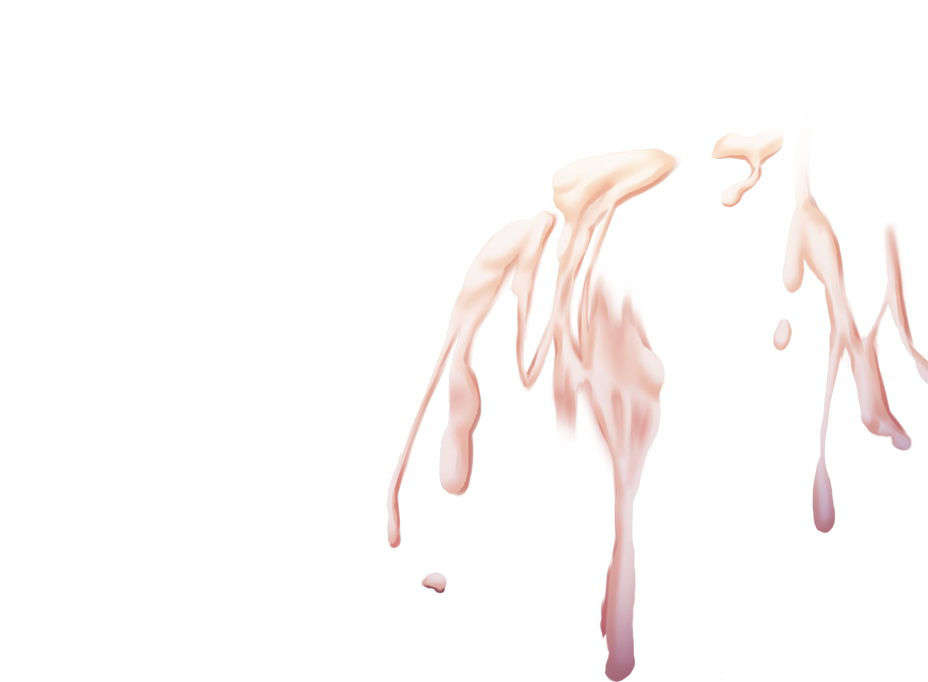 [081219]むすめーかー 初回限定版 525/979 