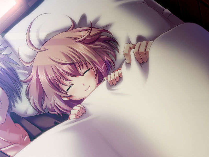 [081219]むすめーかー 初回限定版 608/979 