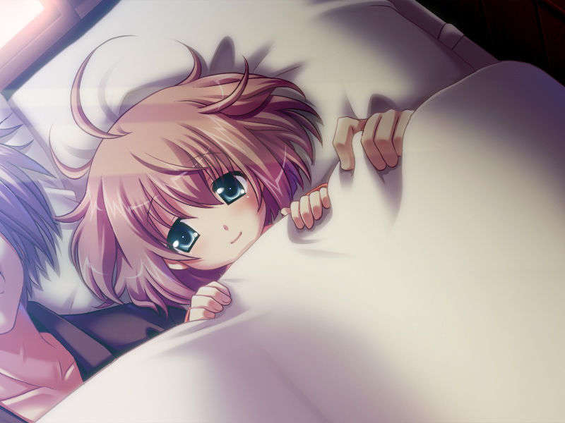 [081219]むすめーかー 初回限定版 609/979 