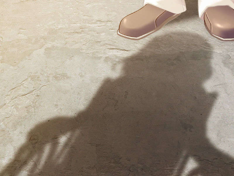 [081219]むすめーかー 初回限定版 700/979 