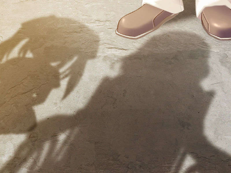 [081219]むすめーかー 初回限定版 701/979 