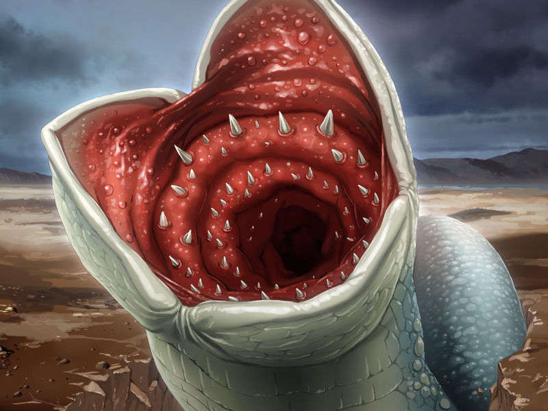 [090130] [ルネ] 戦乙女ヴァルキリーG～戦乙女達の黃昏～ 707/851 