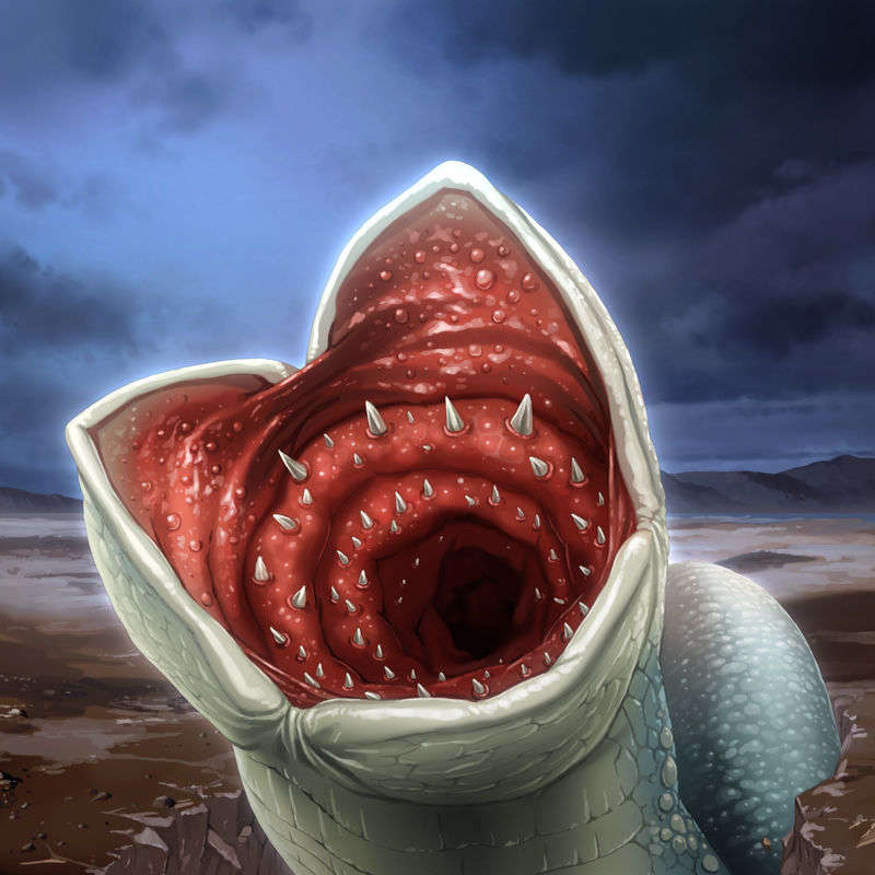 [090130] [ルネ] 戦乙女ヴァルキリーG～戦乙女達の黃昏～ 716/851 