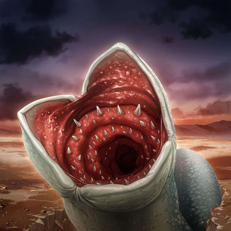 [090130] [ルネ] 戦乙女ヴァルキリーG～戦乙女達の黃昏～ 718/851 