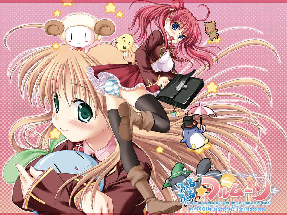 [HCG][LittlePrincess][080530]ふるふる☆フルムーン 245/483 