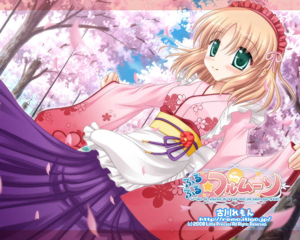 [HCG][LittlePrincess][080530]ふるふる☆フルムーン 250/483 