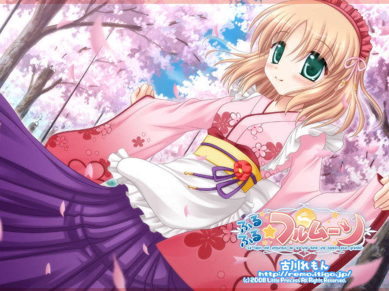 [HCG][LittlePrincess][080530]ふるふる☆フルムーン 252/483 