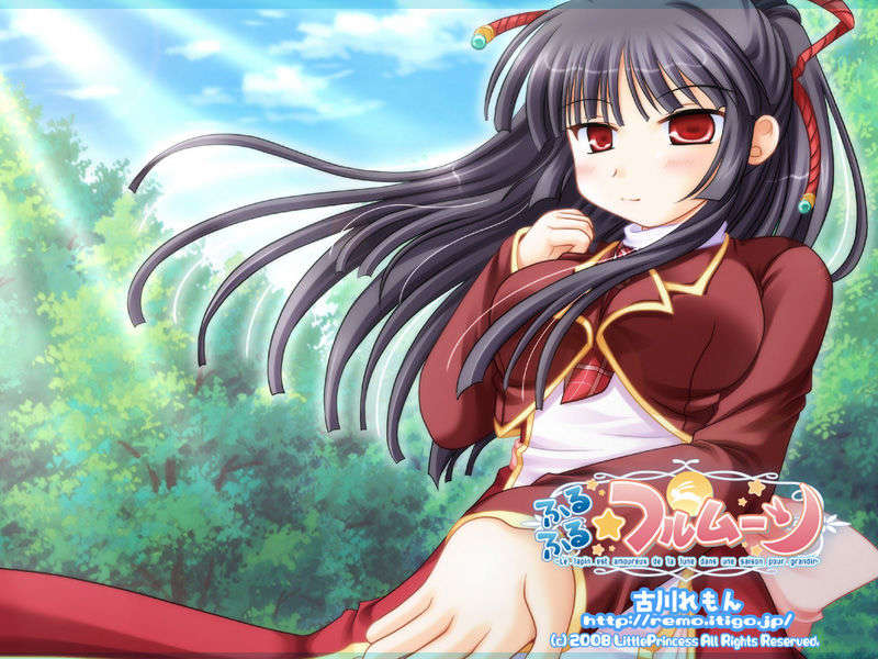 [HCG][LittlePrincess][080530]ふるふる☆フルムーン 255/483 