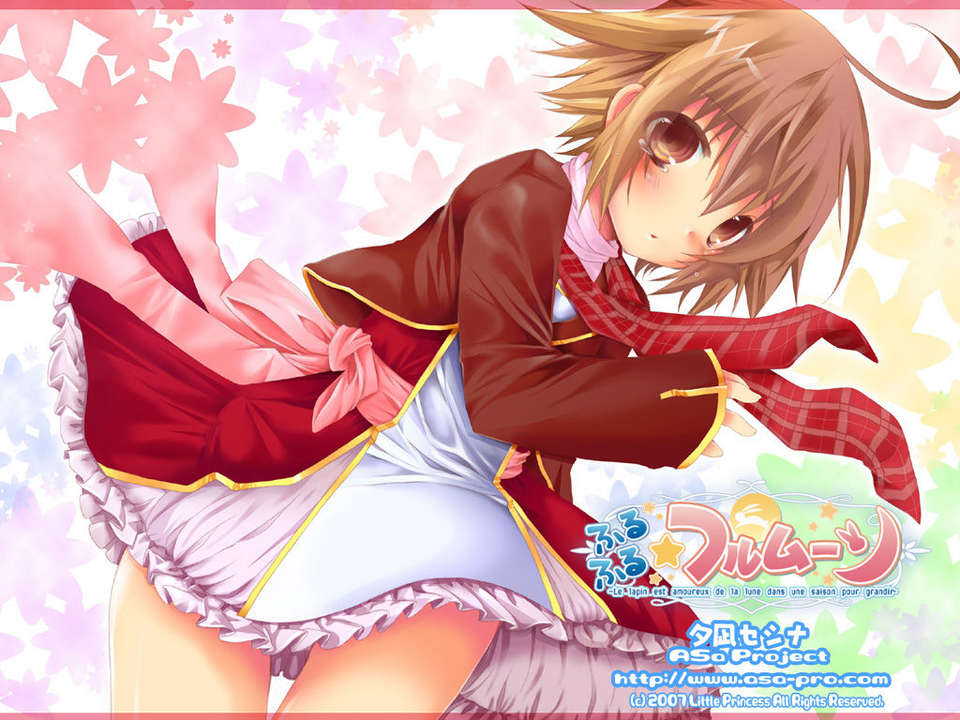 [HCG][LittlePrincess][080530]ふるふる☆フルムーン 260/483 