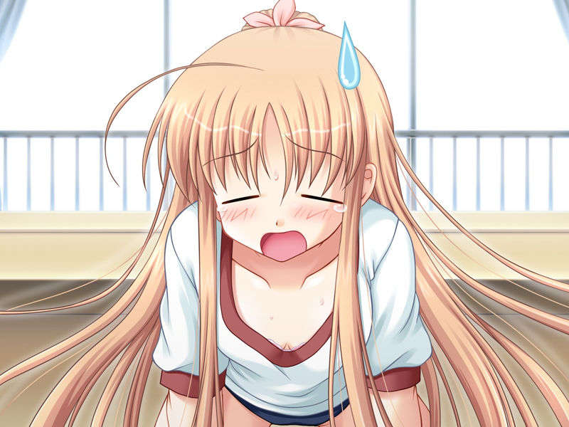 [HCG][LittlePrincess][080530]ふるふる☆フルムーン 341/483 