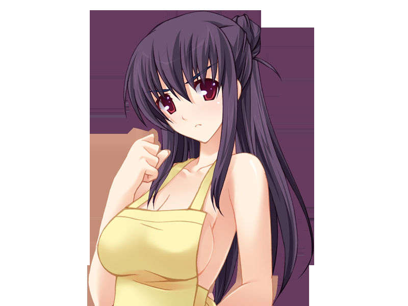 [20071123]あねあね～許して！お姉ちゃんたち、ボクのおち○ち○んダメになっちゃう！～ 179/262 