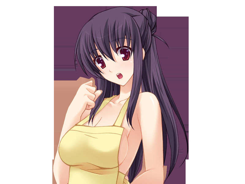 [20071123]あねあね～許して！お姉ちゃんたち、ボクのおち○ち○んダメになっちゃう！～ 182/262 