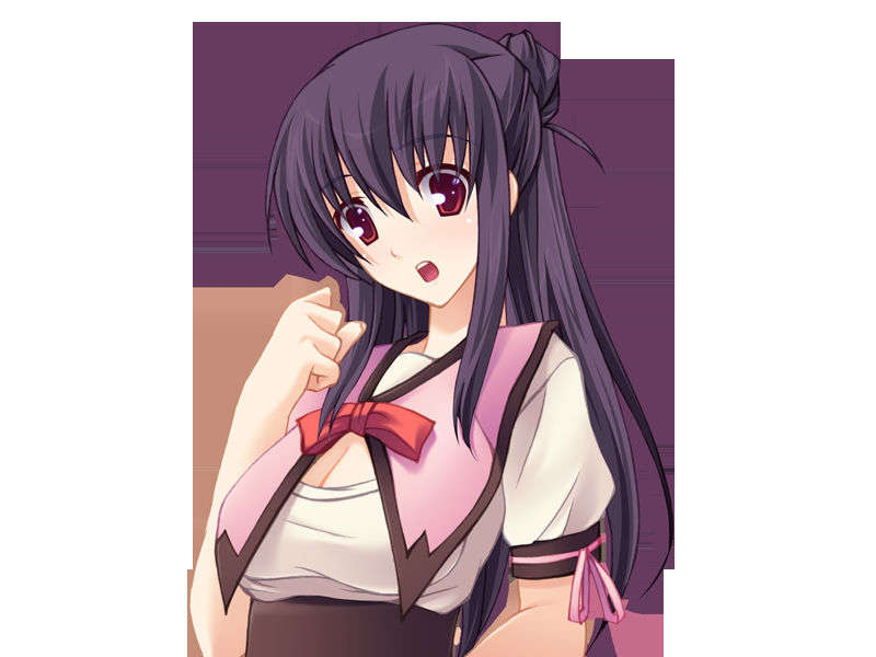 [20071123]あねあね～許して！お姉ちゃんたち、ボクのおち○ち○んダメになっちゃう！～ 194/262 