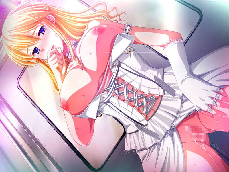 [Frill]癡漢専用車両 737/962 