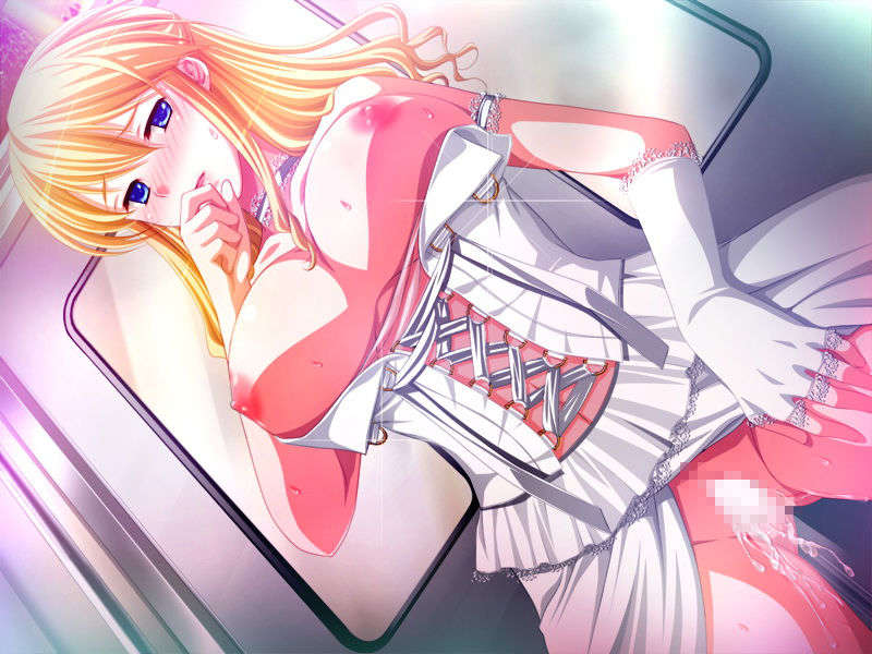 [Frill]癡漢専用車両 739/962 