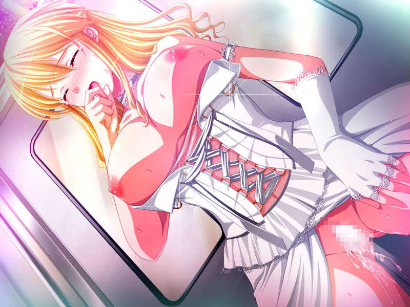 [Frill]癡漢専用車両 741/962 