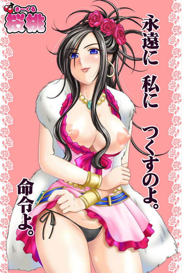 (同人CG集) [桜桃] HANAYOME! (ドラクエ5) 607/897 