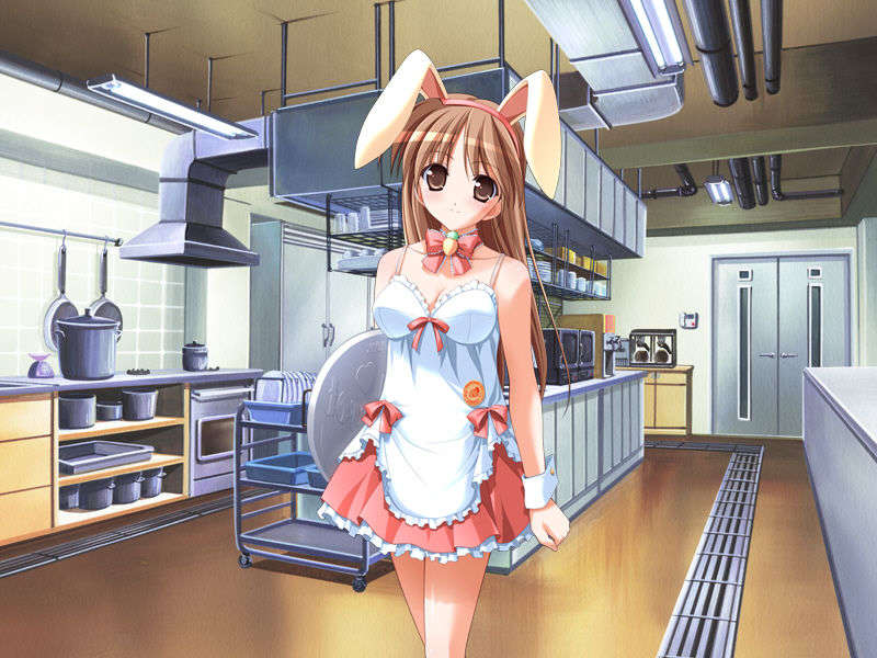 [04.17] [lanse1203]Pia.キャロットへようこそ!!G.O. ～グランドオープン！ 234/400 