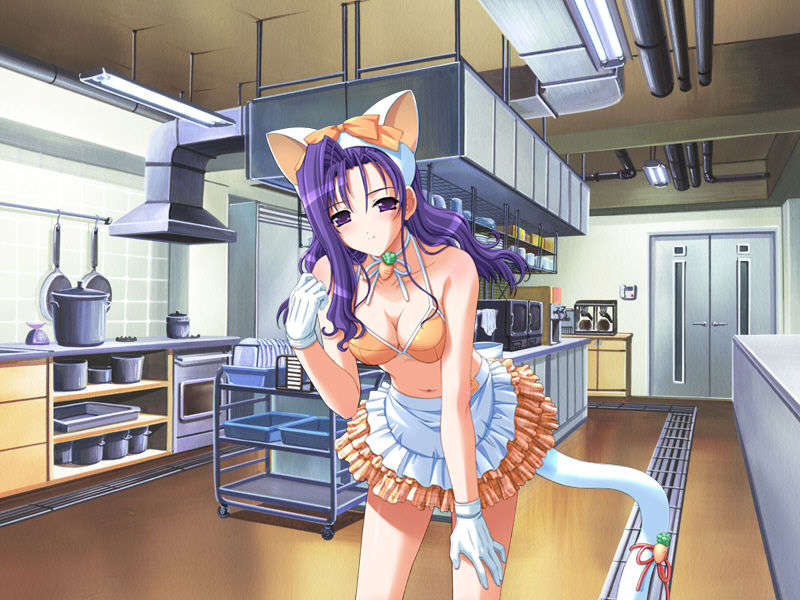 [04.17] [lanse1203]Pia.キャロットへようこそ!!G.O. ～グランドオープン！ 270/400 