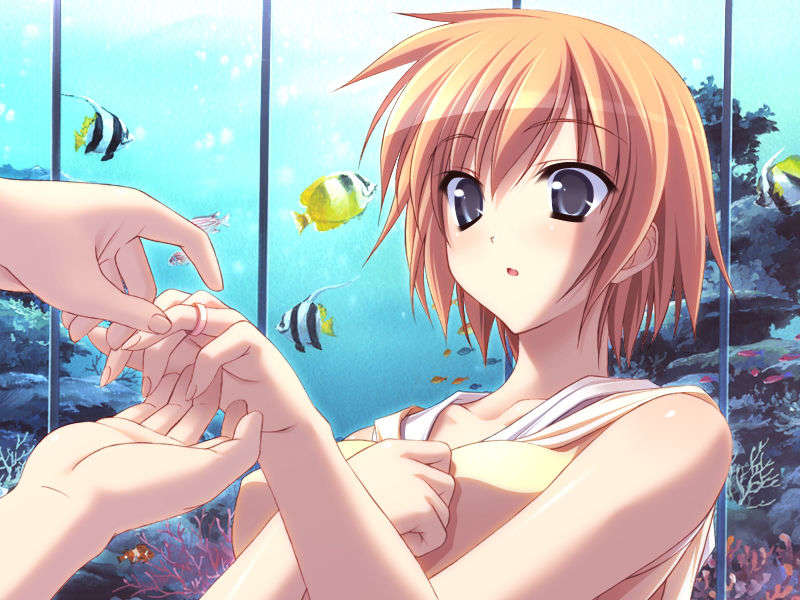 [080425]Pia▼キャロットへようこそ!!G.O. SE～Special Edition～ 233/461 