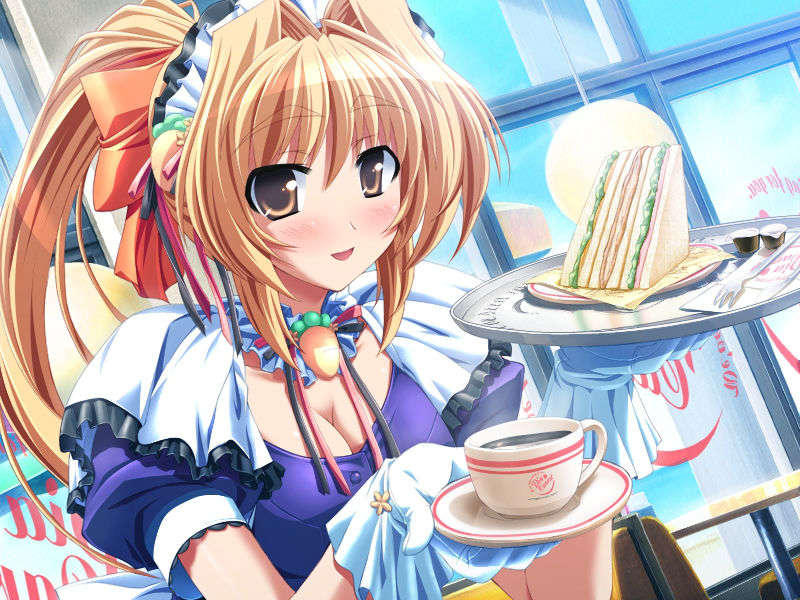 [080425]Pia▼キャロットへようこそ!!G.O. SE～Special Edition～ 248/461 