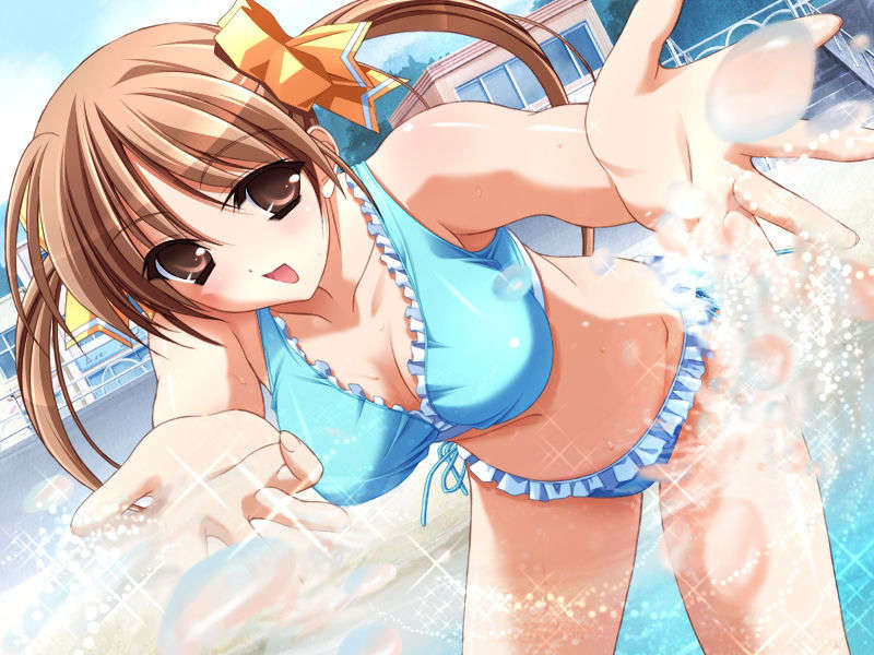 [080425]Pia▼キャロットへようこそ!!G.O. SE～Special Edition～ 258/461 