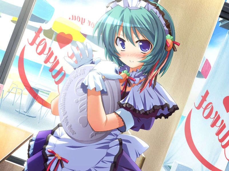 [080425]Pia▼キャロットへようこそ!!G.O. SE～Special Edition～ 295/461 