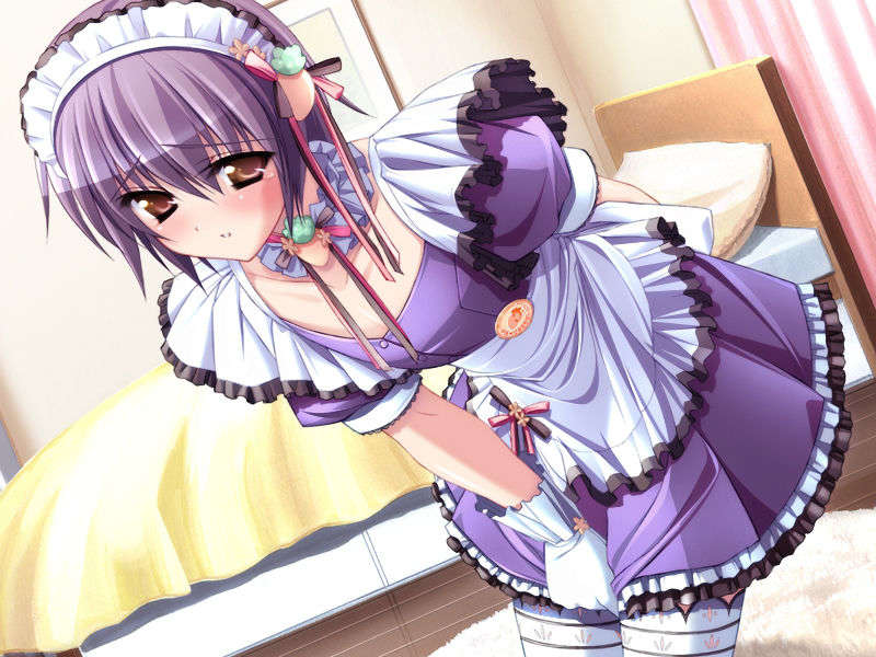 [080425]Pia▼キャロットへようこそ!!G.O. SE～Special Edition～ 369/461 
