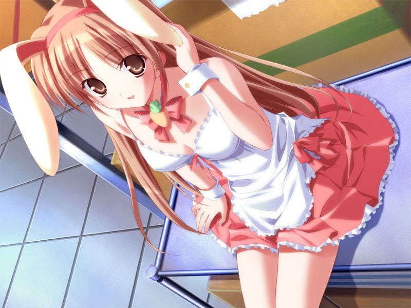 [080425]Pia▼キャロットへようこそ!!G.O. SE～Special Edition～ 381/461 