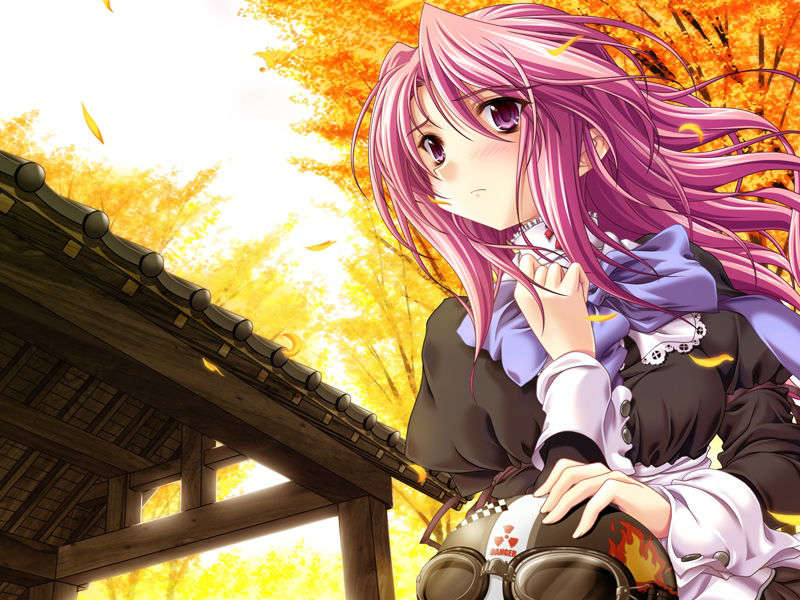 [060623]Kanojo Tachino Ryuugi[130cm][HCG] 777/852 