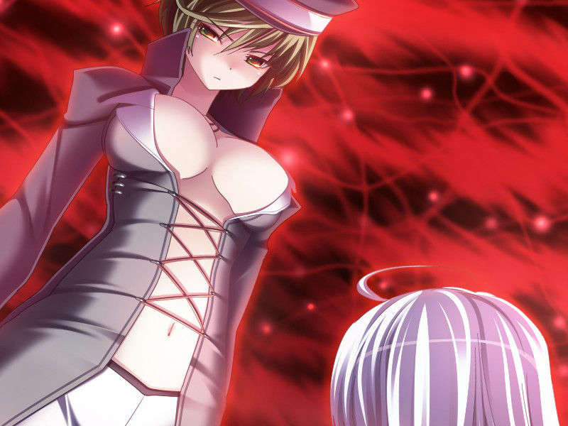 [ひいろのかけら][090226] [暁WORKS] DEVILS DEVEL CONCEPT.rar 1063/1218 