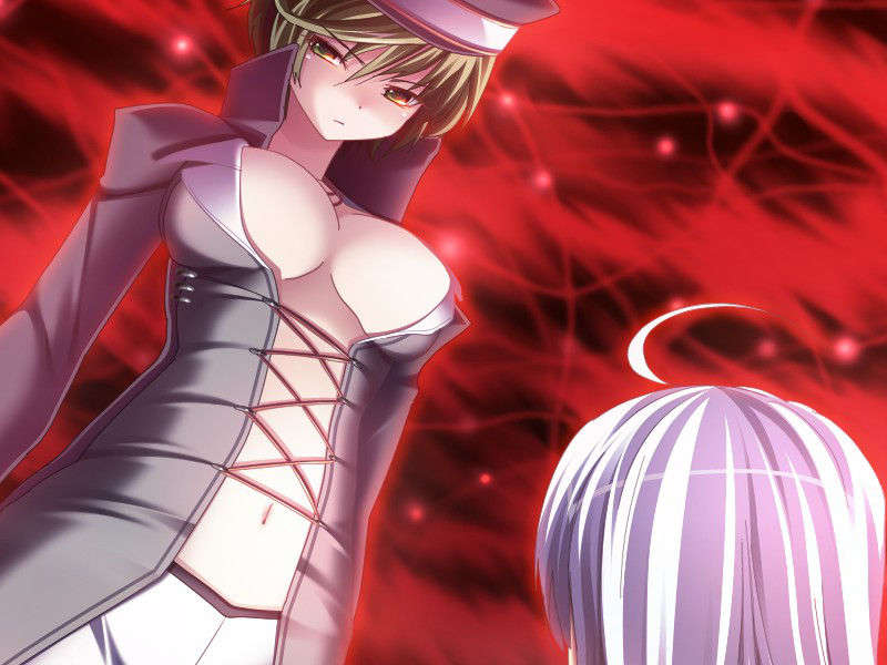 [ひいろのかけら][090226] [暁WORKS] DEVILS DEVEL CONCEPT.rar 1065/1218 