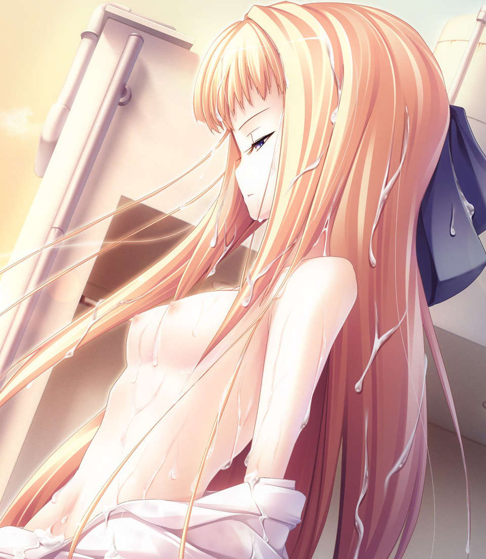 [ひいろのかけら][090226] [暁WORKS] DEVILS DEVEL CONCEPT.rar 1090/1218 