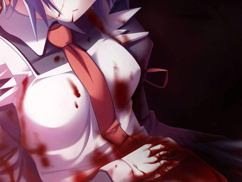 [ひいろのかけら][090226] [暁WORKS] DEVILS DEVEL CONCEPT.rar 1119/1218 