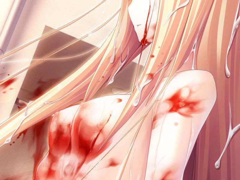 [ひいろのかけら][090226] [暁WORKS] DEVILS DEVEL CONCEPT.rar 1135/1218 