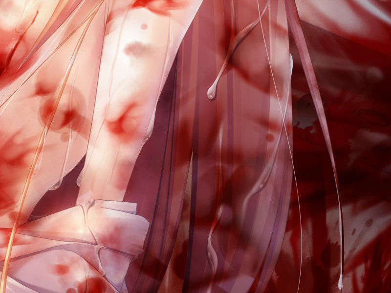 [ひいろのかけら][090226] [暁WORKS] DEVILS DEVEL CONCEPT.rar 1155/1218 
