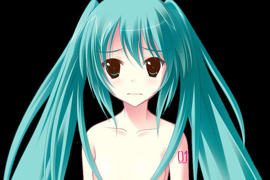 [C73__初音ミク]未來のキミと、すべての歌 314/591 