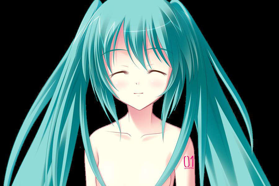 [C73__初音ミク]未來のキミと、すべての歌 317/591 