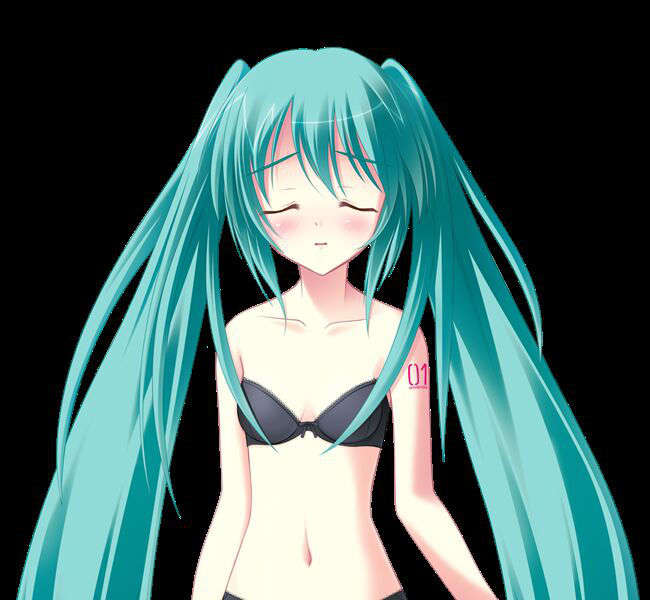 [C73__初音ミク]未來のキミと、すべての歌 548/591 