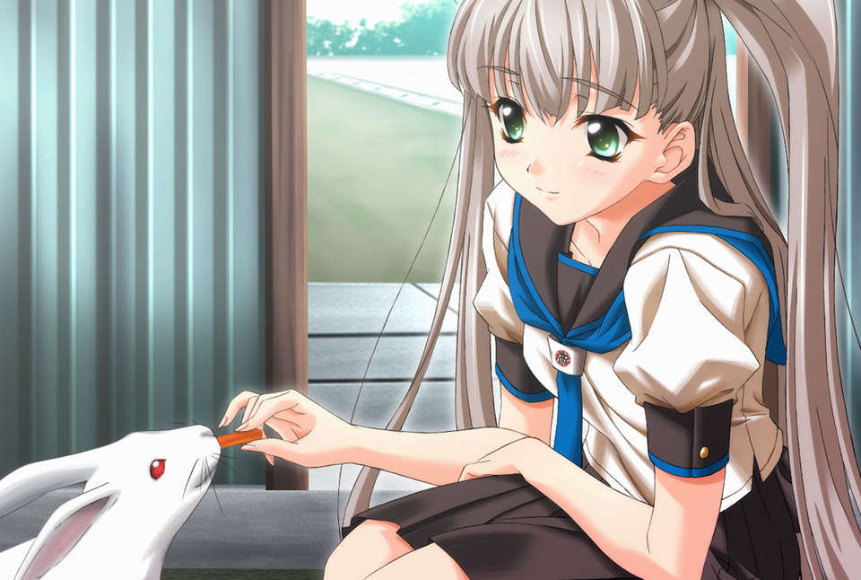 [hisui(axhtj)][RYU-KOKU][P+G] 342/476 