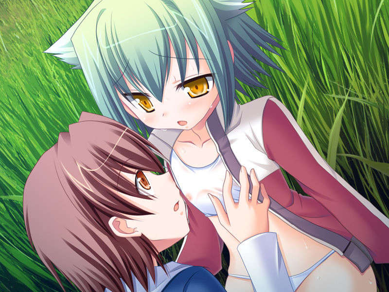 [081128][highsox]絶対女子寮域！ 645/775 