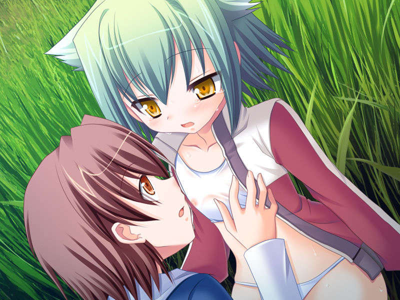 [081128][highsox]絶対女子寮域！ 647/775 