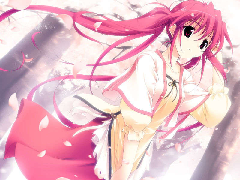 [061124]遙かに仰ぎ、麗しの 698/1031 