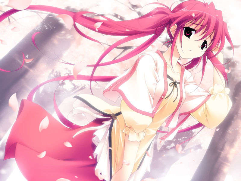 [061124]遙かに仰ぎ、麗しの 702/1031 