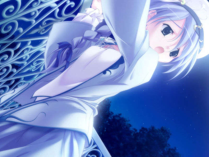 [061124]遙かに仰ぎ、麗しの 888/1031 