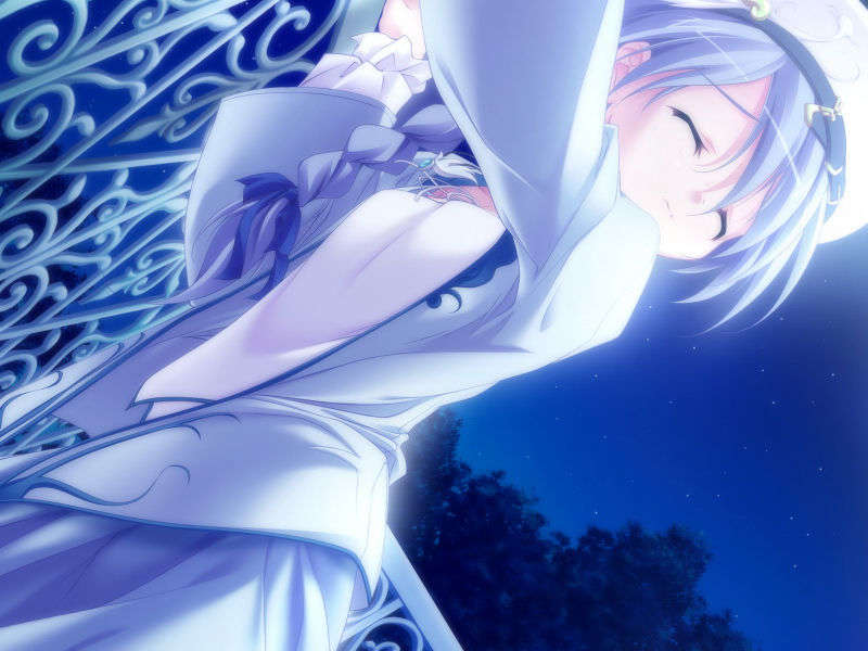 [061124]遙かに仰ぎ、麗しの 889/1031 