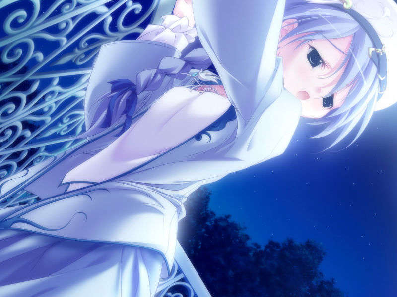 [061124]遙かに仰ぎ、麗しの 892/1031 