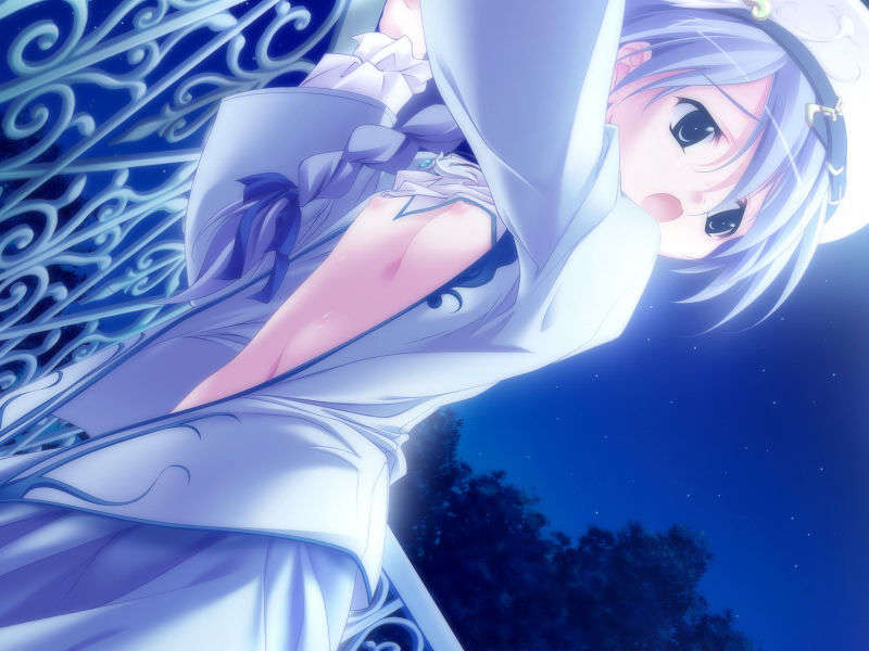 [061124]遙かに仰ぎ、麗しの 894/1031 